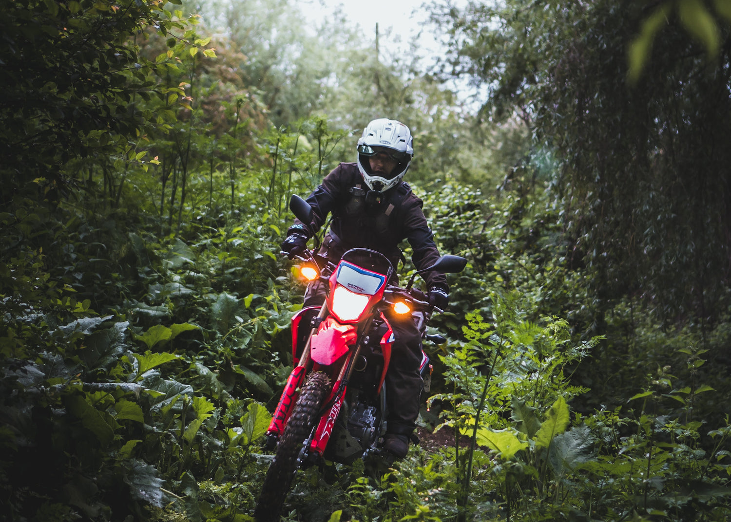 HONDA CRF300L / RALLY & LS